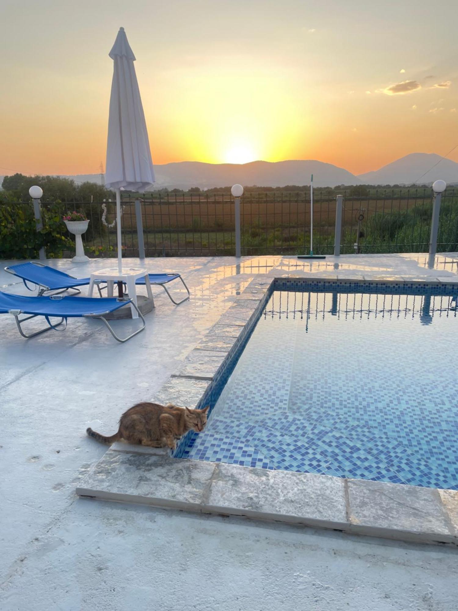 Anastasias Apartments Sarandë 外观 照片